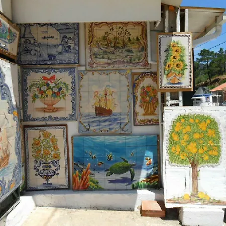 Apartamento Palmeira